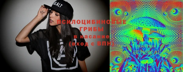 сатива Балабаново