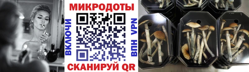 Галлюциногенные грибы мицелий  Богданович 